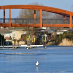2026-01-08 Brandenburg an der Havel/Stadt/DSC_2228.JPG
